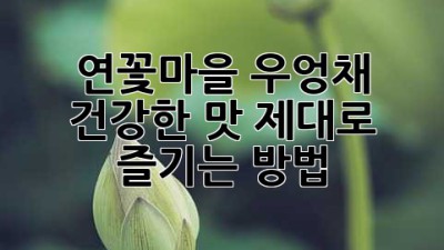 연꽃마을 우엉채: 건강한 맛, 제대로 즐기는 방법